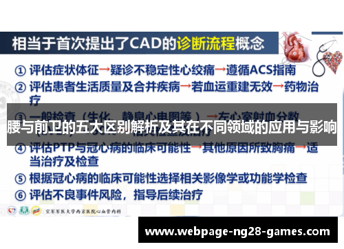 腰与前卫的五大区别解析及其在不同领域的应用与影响