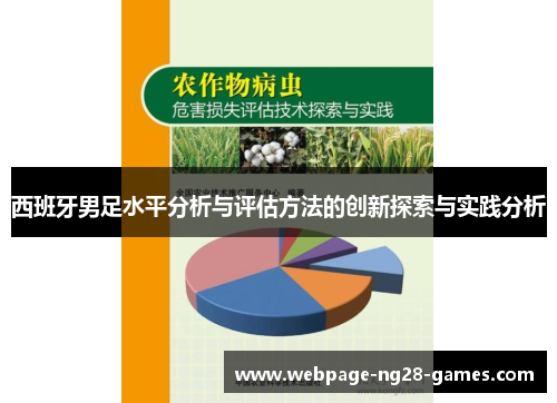 西班牙男足水平分析与评估方法的创新探索与实践分析